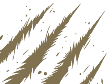 kratzer-kontakt-klein